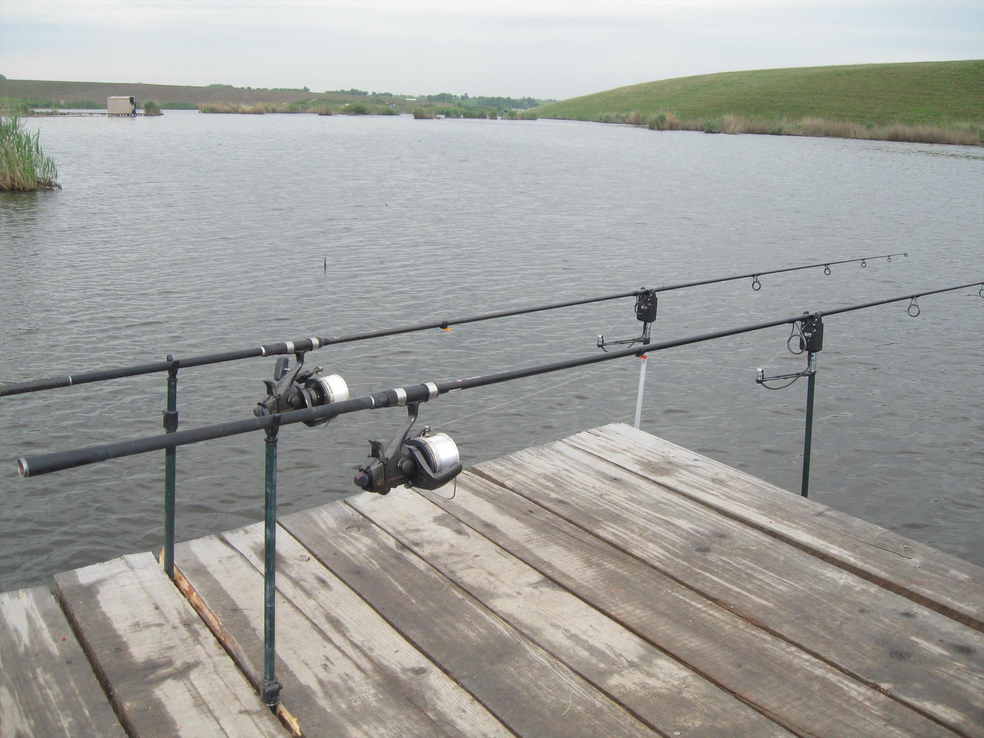 CONCURS - 6-9-mai-2010-chiroiu-051.jpg